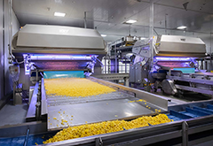 Twin City Food's VERYX optical sorters from Key Technology