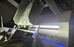 Inspection zone for Key Technology COMPASS optical sorter